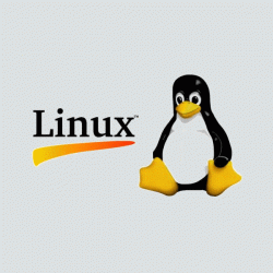 Linux